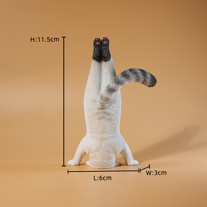 1/6 스케일 미니 시뮬레이션 피트니스 고양이 요가 동 - Kids Yoga Toys 리뷰 및 가격
