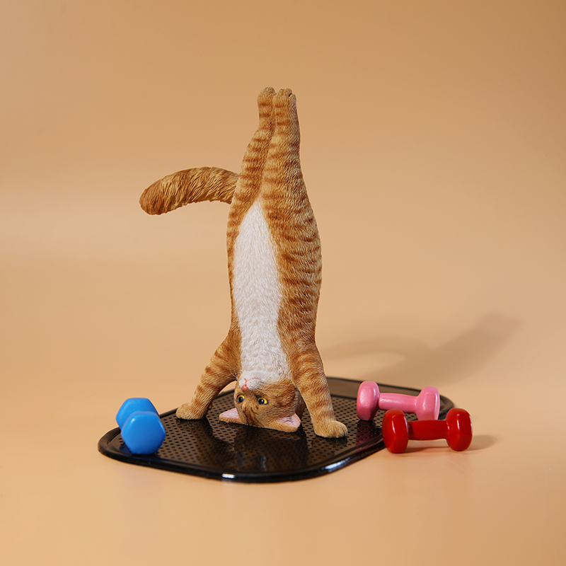 1/6 스케일 미니 시뮬레이션 피트니스 고양이 요가 동 - Kids Yoga Toys 리뷰 및 가격