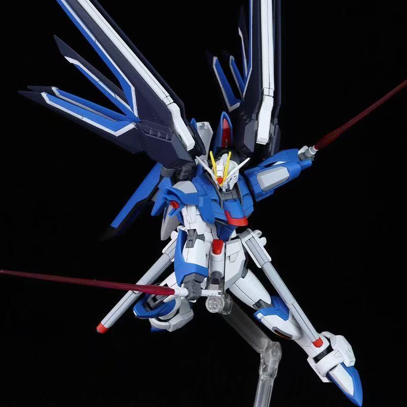 HG STTS-909 라이징 프리덤 건담 모델 키트,  - Bandai Model Gundam Hg 리뷰 및 가격