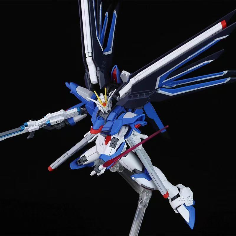 HG STTS-909 라이징 프리덤 건담 모델 키트,  - Bandai Model Gundam Hg 리뷰 및 가격